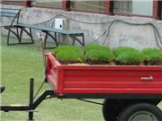 Bóng đá anh, ngoại hạng anh, lịch thi đấu euro 2012, Sự thật về mặt sân San Siro: Tất cả là cái bẫy ngay từ đầu!?